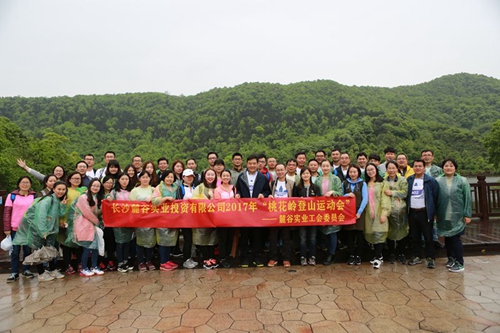 麓谷实业-桃花岭登山.jpg