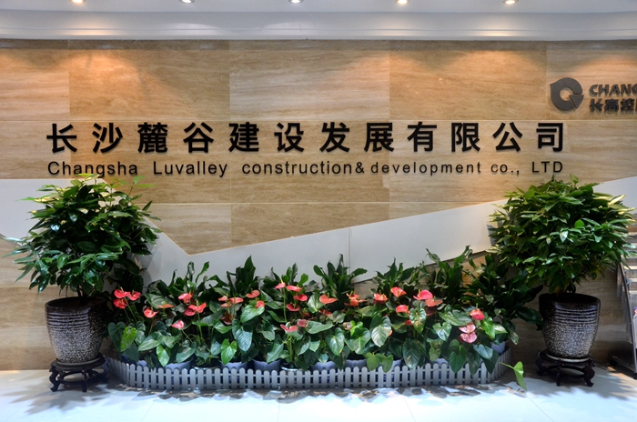 麓谷建发.JPG