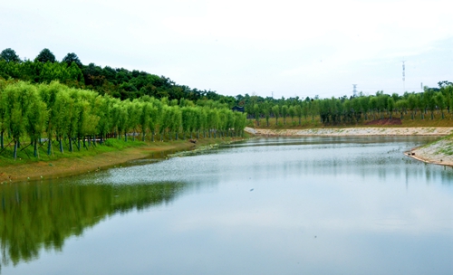 环城绿带.jpg