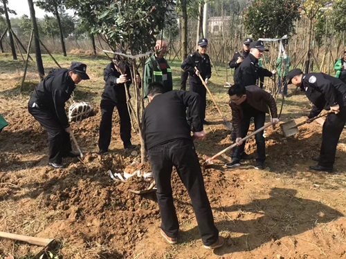 微信图片_20190313173658_副本.jpg