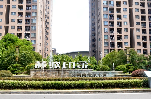 麓城印象采访4.jpg