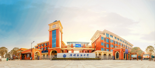 图片8.png