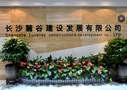 长沙麓谷建设发展有限公司