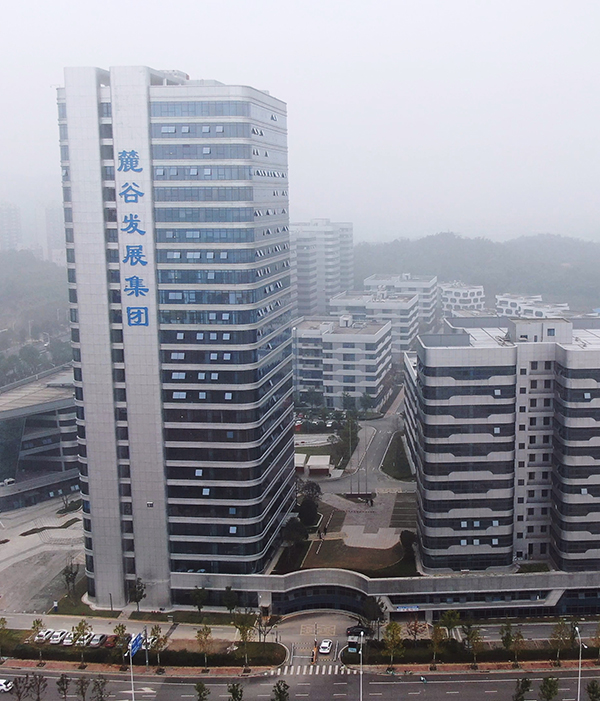 湖南麓谷发展集团