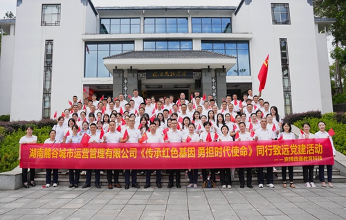 党建赋能聚合力 携手共建促发展
